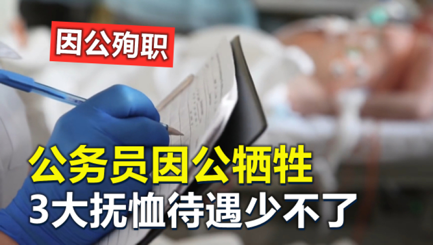 胡歌称想多陪伴女儿,2025澳门正版权资料免费大全管家婆,最佳精选解释落实_精英版V6.32